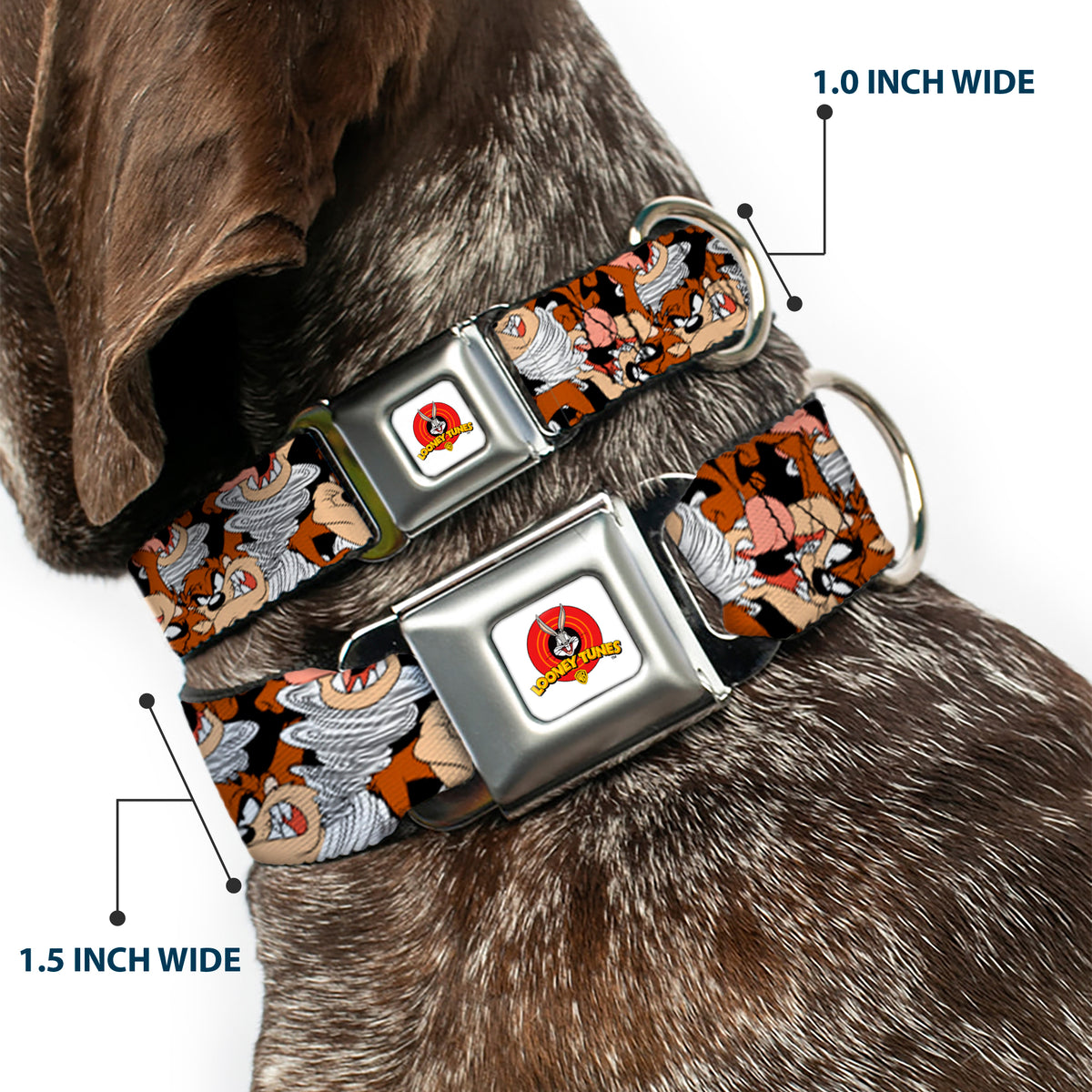 Looney Tunes Logo White Seatbelt Buckle Collar - Tasmanian Devil Vortex Poses Stacked Black Dog Collars Seatbelt Buckle Looney Tunes