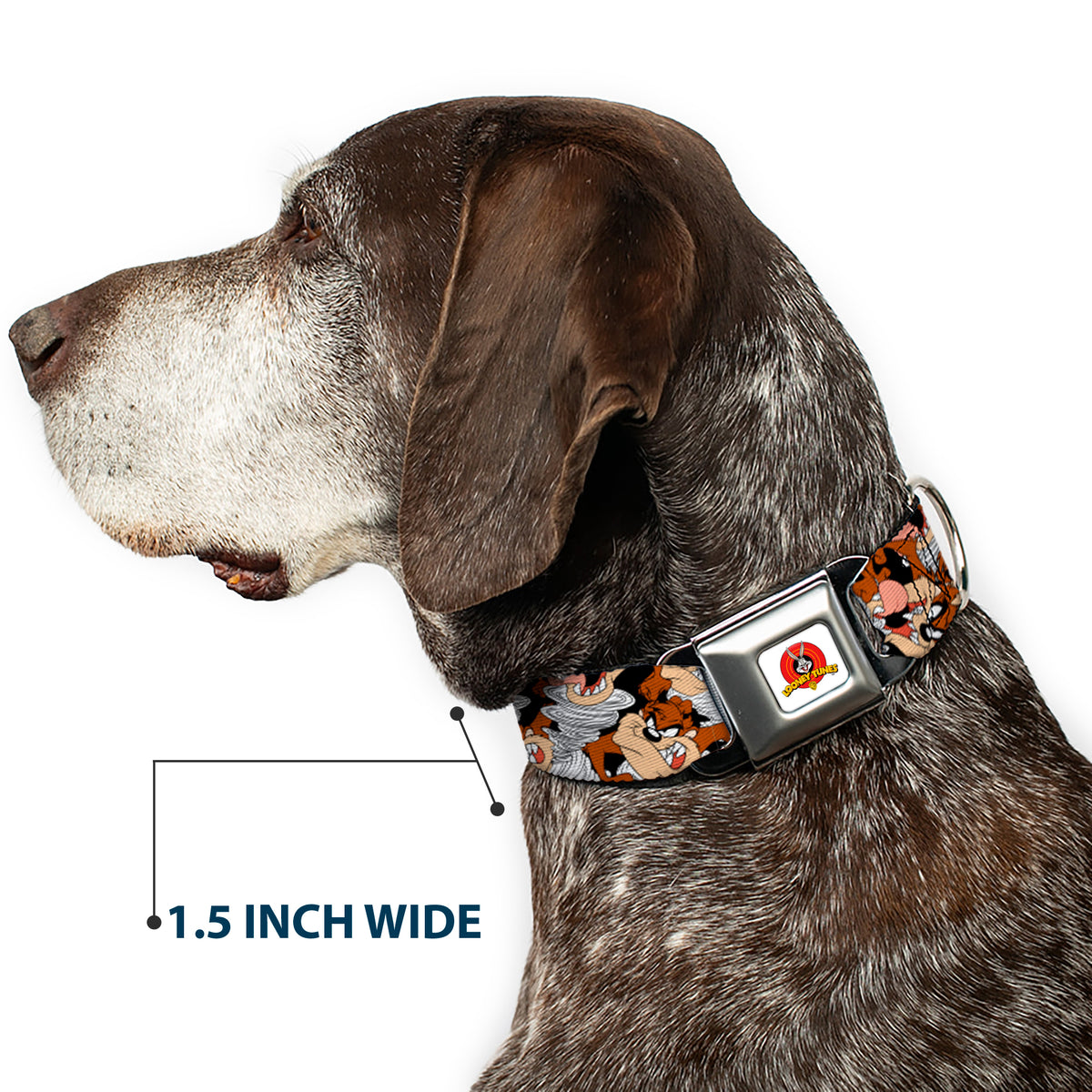 Looney Tunes Logo White Seatbelt Buckle Collar - Tasmanian Devil Vortex Poses Stacked Black Dog Collars Seatbelt Buckle Looney Tunes