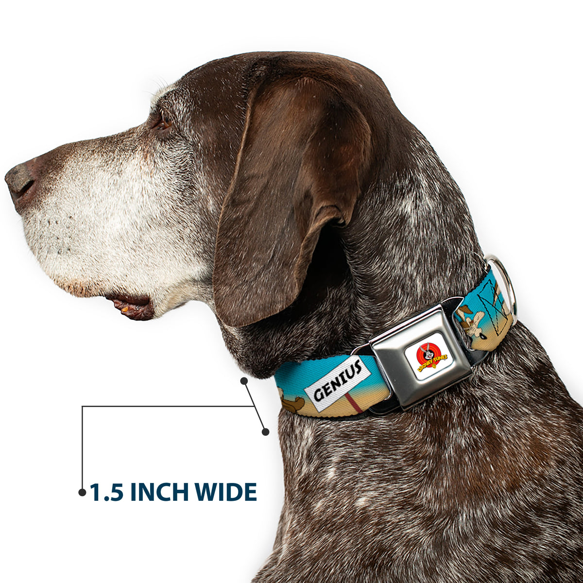 Looney Tunes Logo Full Color White Seatbelt Buckle Collar - WILE E. COYOTE Expressions/Signs Desert Dog Collars Seatbelt Buckle Looney Tunes