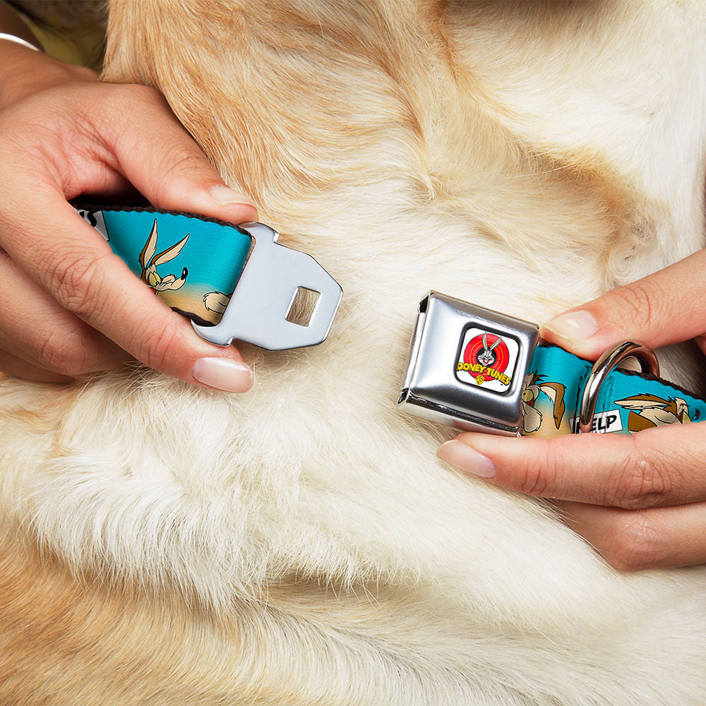 Looney Tunes Logo Full Color White Seatbelt Buckle Collar - WILE E. COYOTE Expressions/Signs Desert Dog Collars Seatbelt Buckle Looney Tunes