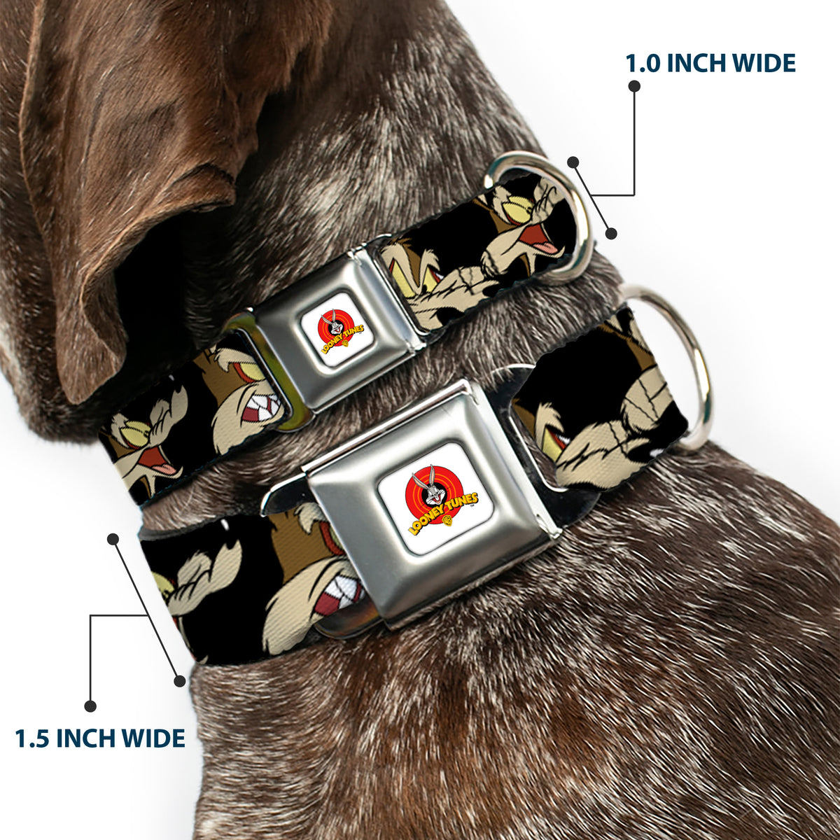 Looney Tunes Logo Full Color White Seatbelt Buckle Collar - Wile E. Coyote Expressions Black Dog Collars Seatbelt Buckle Looney Tunes