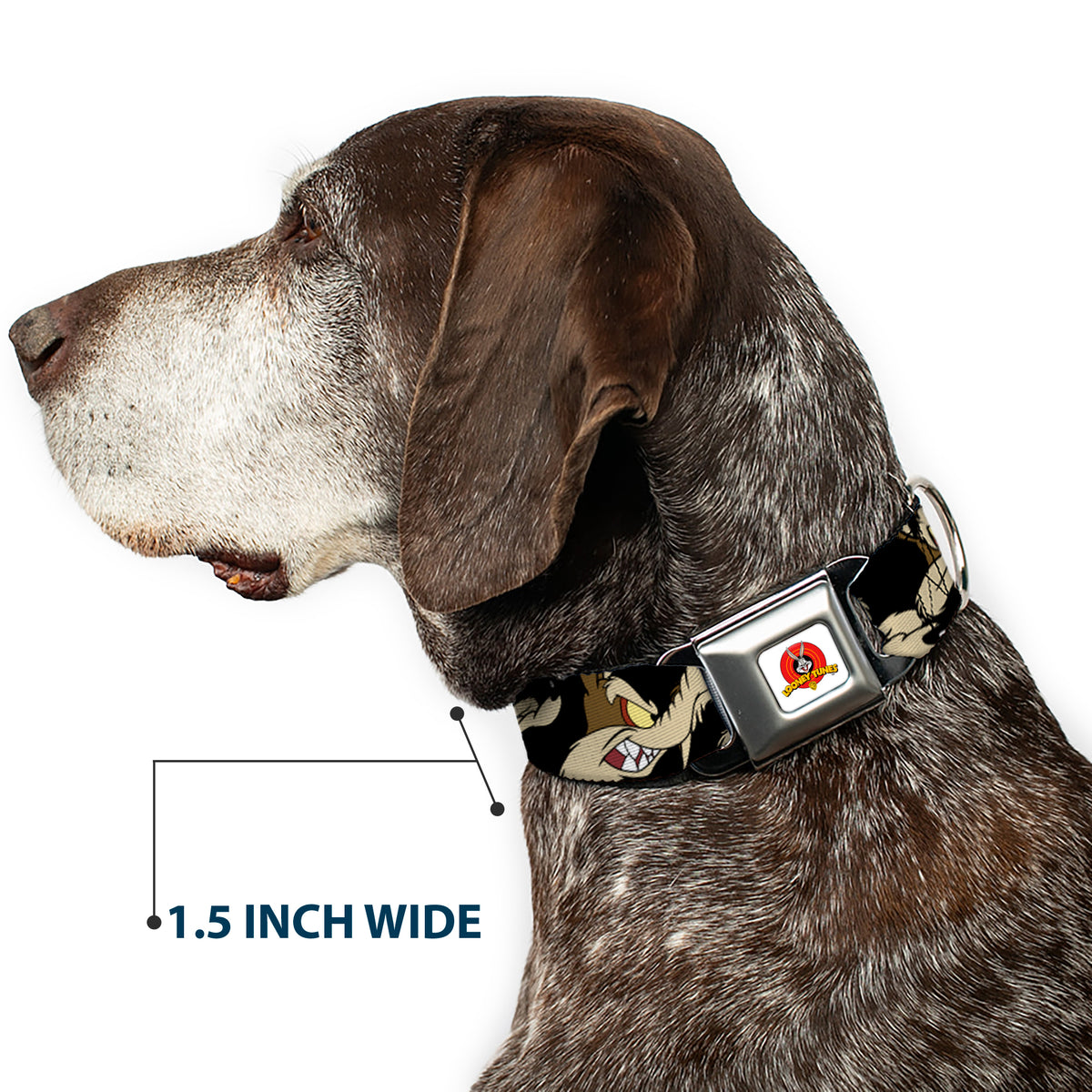 Looney Tunes Logo Full Color White Seatbelt Buckle Collar - Wile E. Coyote Expressions Black Dog Collars Seatbelt Buckle Looney Tunes