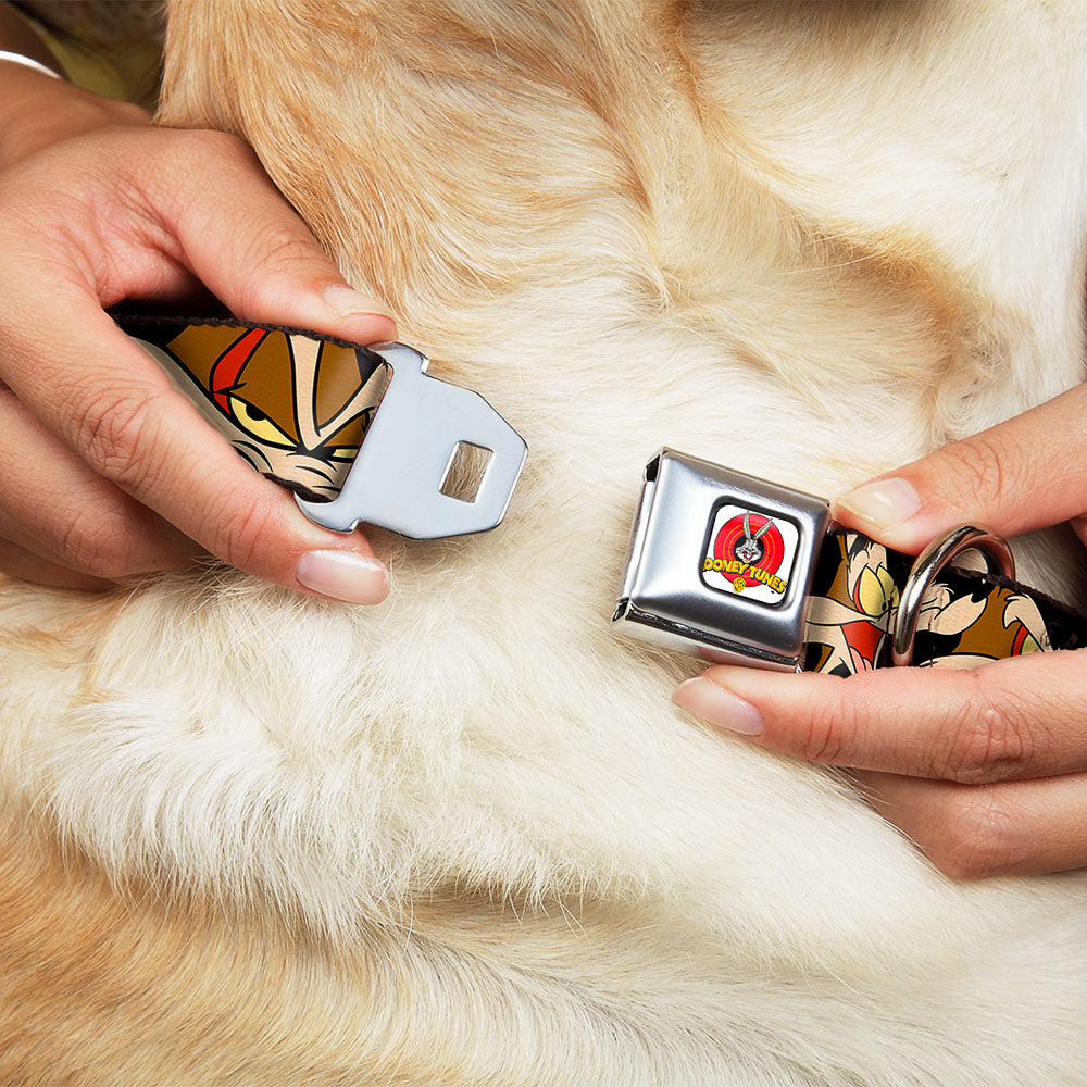 Looney Tunes Logo Full Color White Seatbelt Buckle Collar - Wile E. Coyote Expressions Black Dog Collars Seatbelt Buckle Looney Tunes