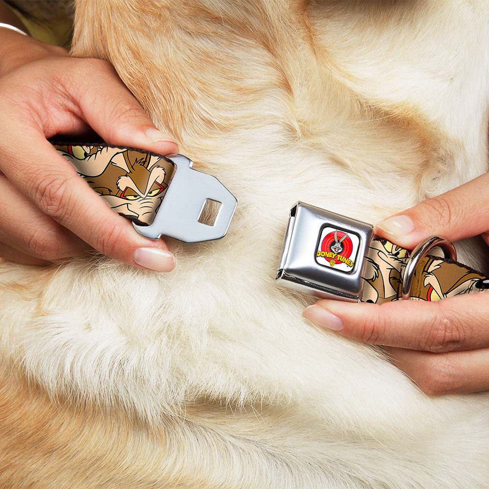 Looney Tunes Logo Full Color White Seatbelt Buckle Collar - Wile E. Coyote Expressions Stacked Dog Collars Seatbelt Buckle Looney Tunes