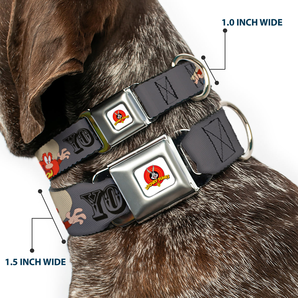 Looney Tunes Logo Full Color White Seatbelt Buckle Collar - YOSEMITE SAM w/Poses Gray Dog Collars Seatbelt Buckle Looney Tunes