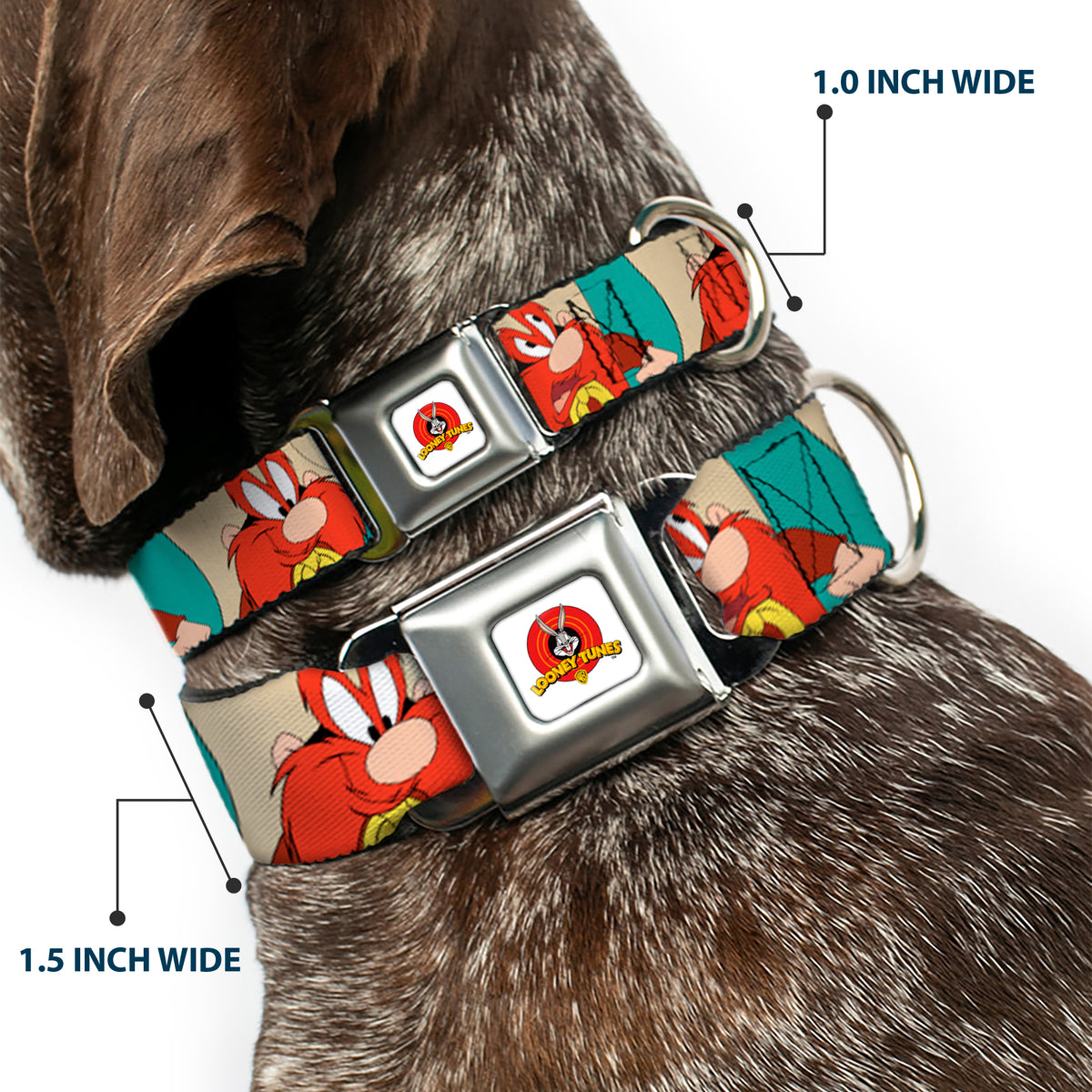 Looney Tunes Logo Full Color White Seatbelt Buckle Collar - Yosemite Sam Poses Turquoise Dog Collars Seatbelt Buckle Looney Tunes