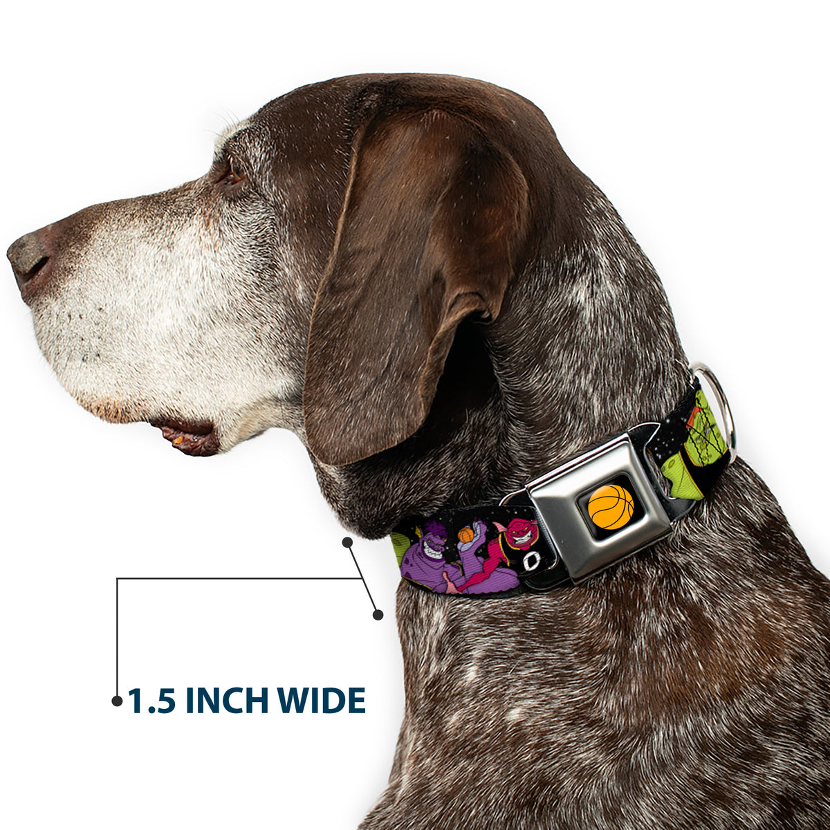 Looney Tunes Basketball Full Color Black Seatbelt Buckle Collar - Space Jam MONSTARS 5-Player Group Pose/Basketballs Galaxy Black/White Dog Collars Seatbelt Buckle Looney Tunes