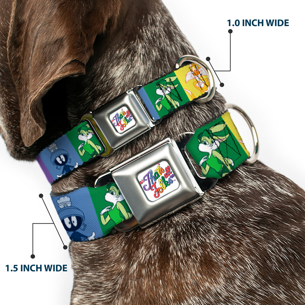 Looney Tunes THAT'S ALL FOLKS Script Full Color White/Multi Color Seatbelt Buckle Collar - Looney Tunes 6-Character Pose Pride Blocks Multi Color Dog Collars Seatbelt Buckle Looney Tunes