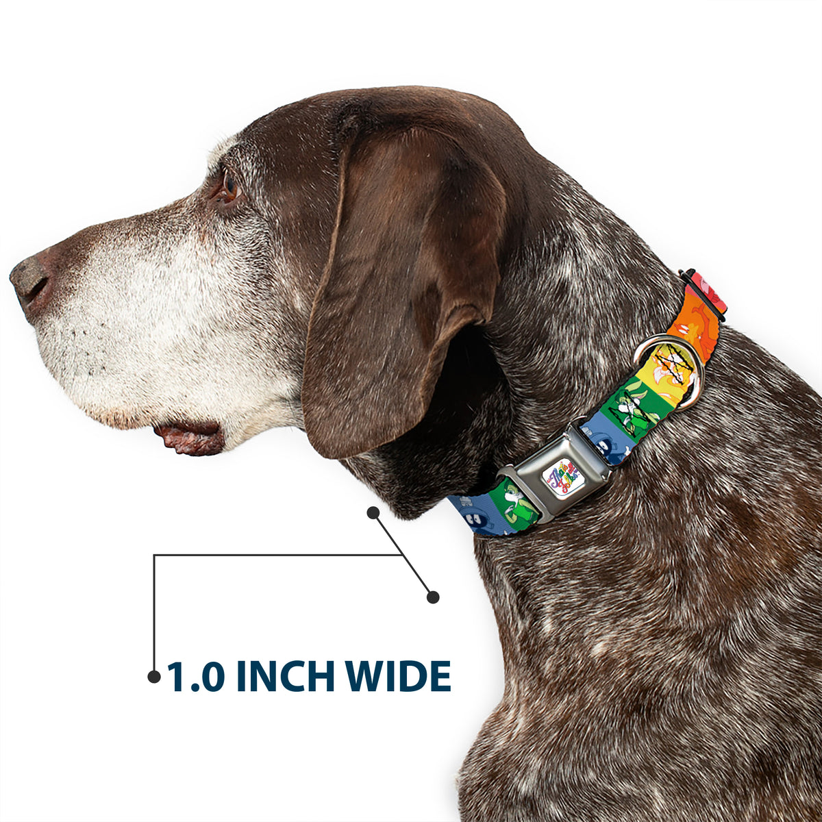 Looney Tunes THAT'S ALL FOLKS Script Full Color White/Multi Color Seatbelt Buckle Collar - Looney Tunes 6-Character Pose Pride Blocks Multi Color Dog Collars Seatbelt Buckle Looney Tunes