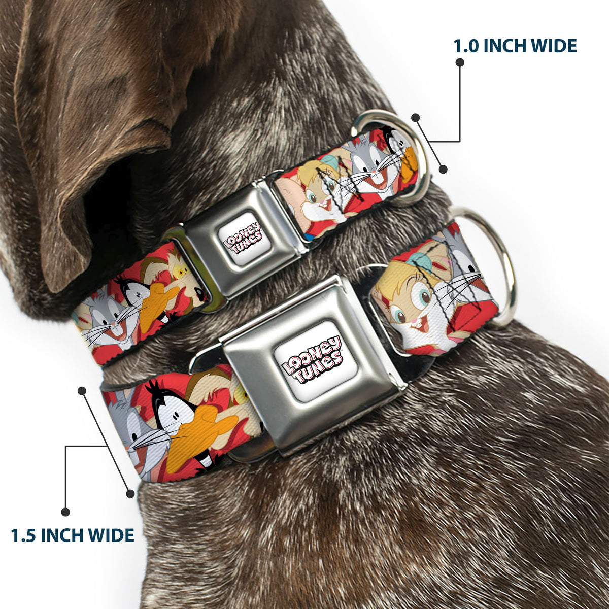 LOONEY TUNES Text Title Logo Full Color White Seatbelt Buckle Collar - Looney Tunes Twelve Character Expressions Red Dog Collars Seatbelt Buckle Looney Tunes