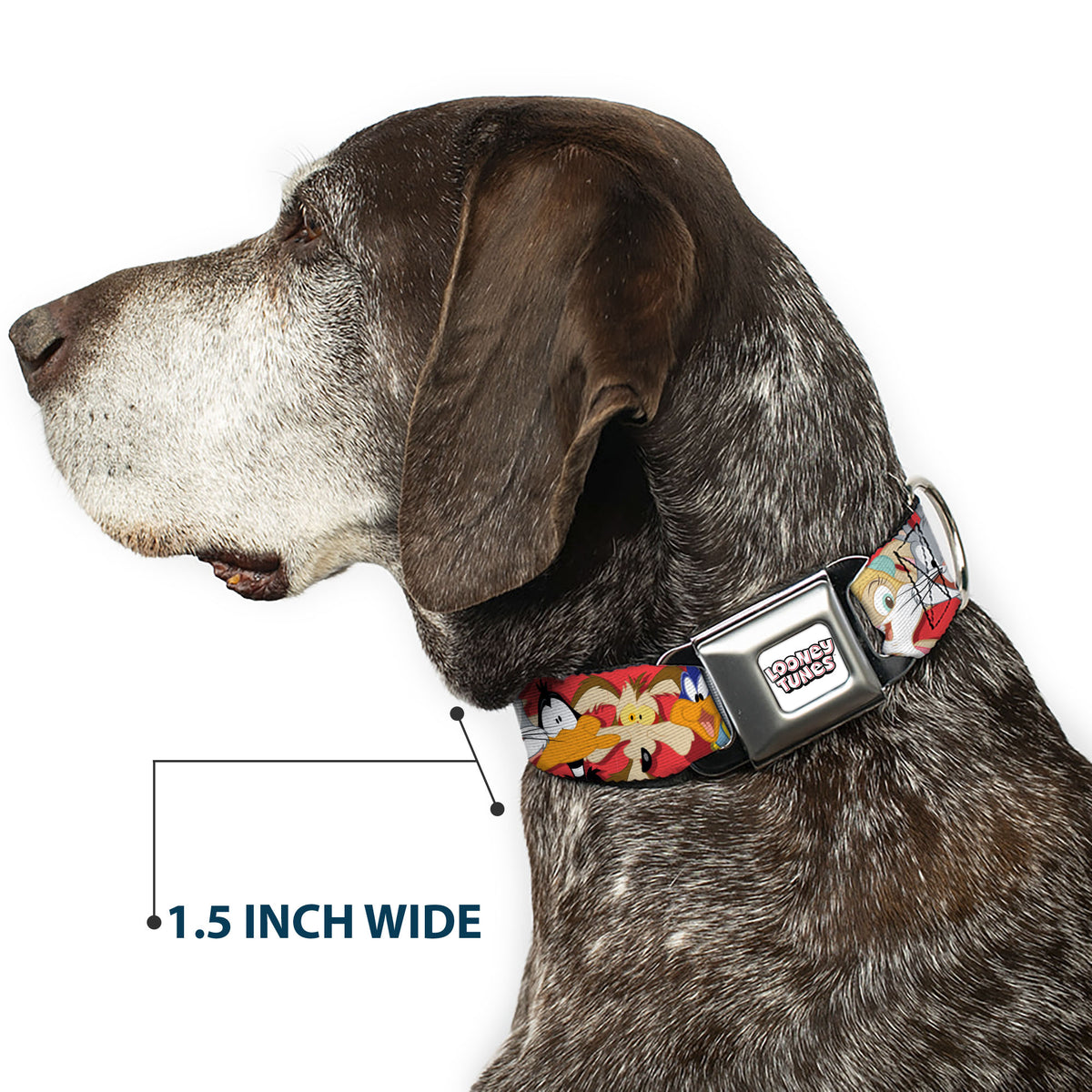 LOONEY TUNES Text Title Logo Full Color White Seatbelt Buckle Collar - Looney Tunes Twelve Character Expressions Red Dog Collars Seatbelt Buckle Looney Tunes