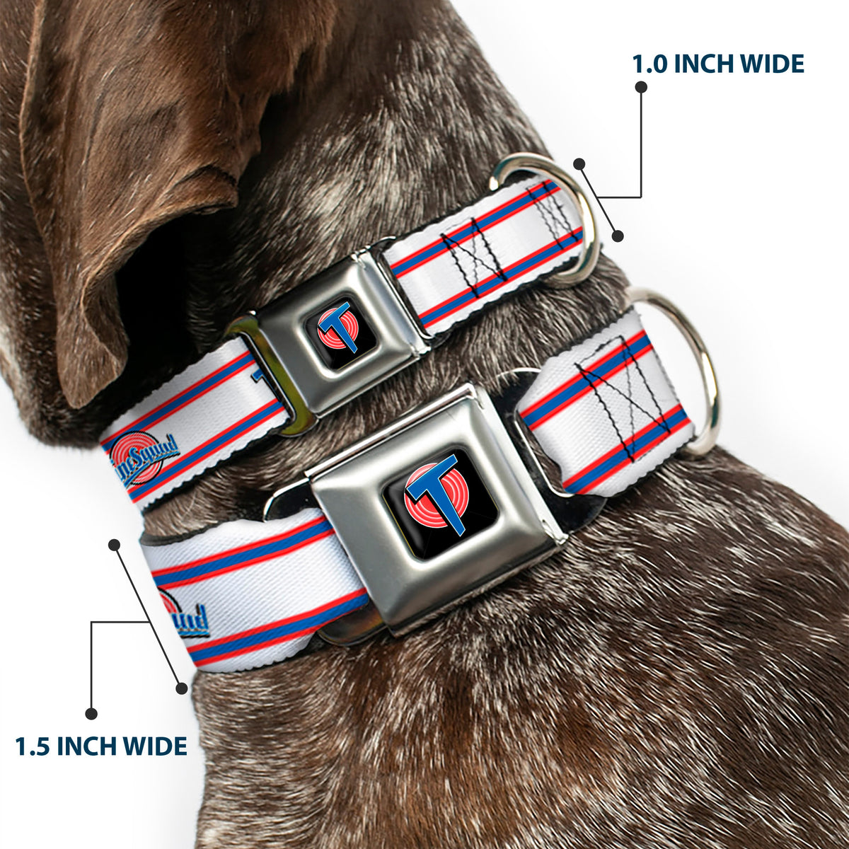 Space Jam Tune Squad Icon Full Color Black/Red/Blue Seatbelt Buckle Collar - Space Jam TUNE SQUAD Logo Stripe White/Red/Blue Dog Collars Seatbelt Buckle Looney Tunes