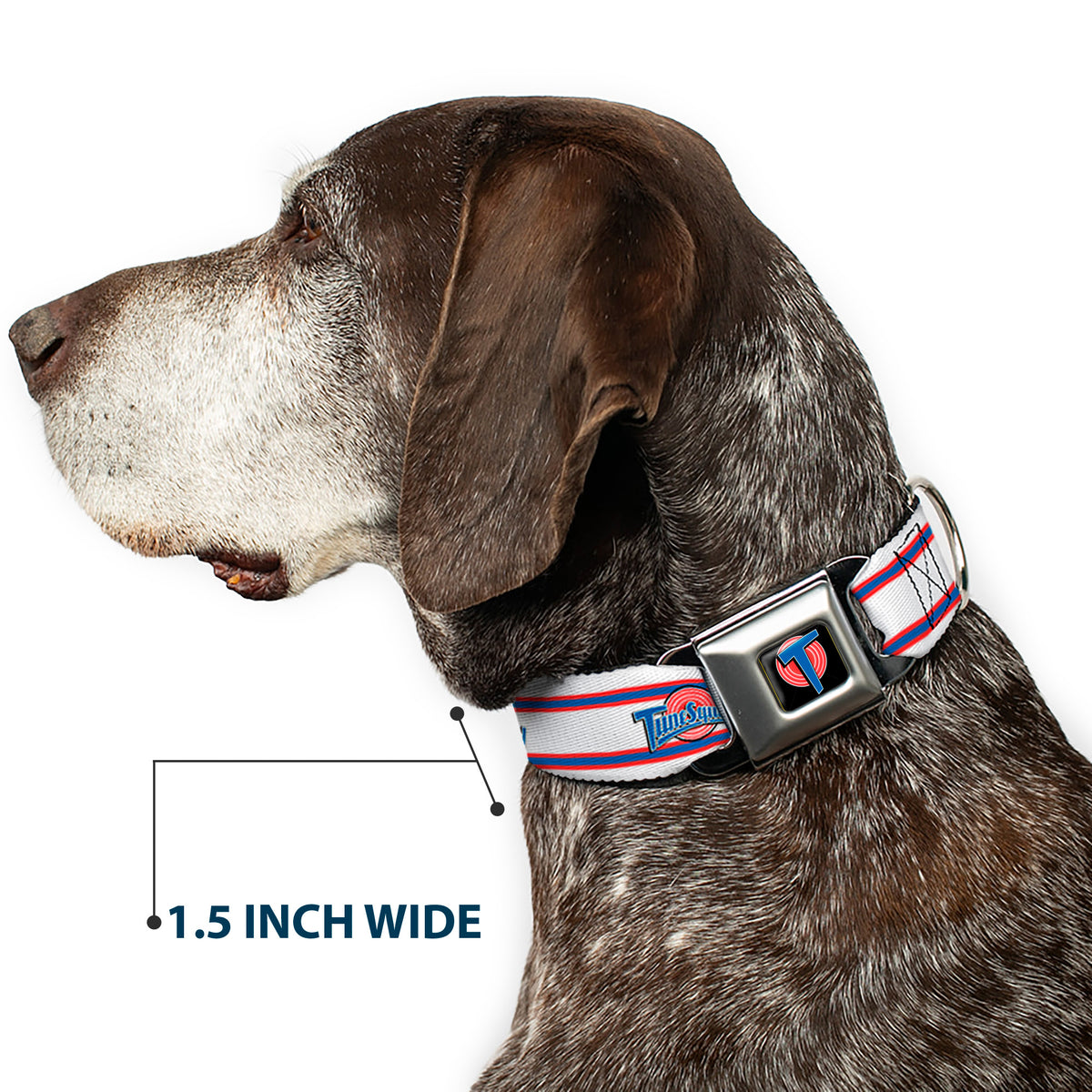 Space Jam Tune Squad Icon Full Color Black/Red/Blue Seatbelt Buckle Collar - Space Jam TUNE SQUAD Logo Stripe White/Red/Blue Dog Collars Seatbelt Buckle Looney Tunes