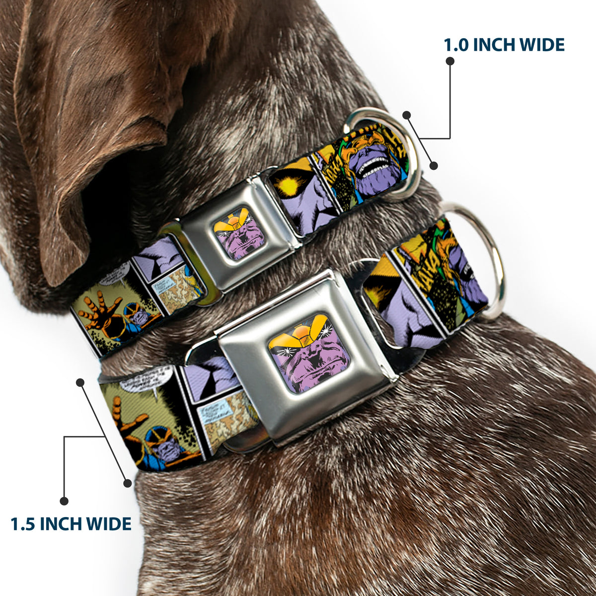 Thanos Face CLOSE-UP Full Color Seatbelt Buckle Collar - Thanos Comic Scene Blocks Dog Collars Seatbelt Buckle Marvel Comics