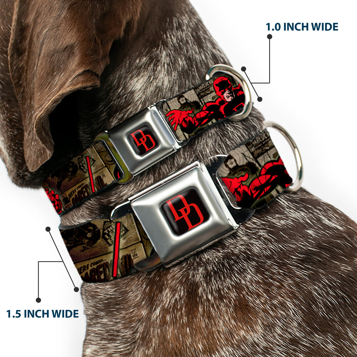 MARVEL UNIVERSE Daredevil DD Logo Full Color Black Red Seatbelt Buckle Collar - DAREDEVIL Action Poses/Comic Panels Grays/Red Dog Collars Seatbelt Buckle Marvel Comics