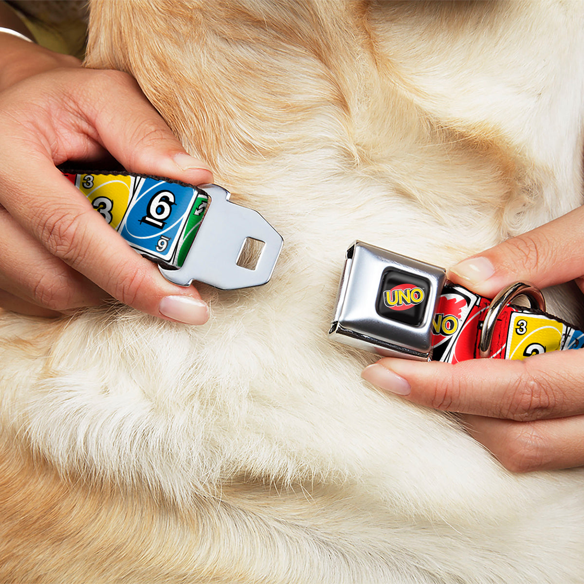 UNO Game Logo Full Color Black/Red/Yellow Seatbelt Buckle Collar - UNO Cards Lineup Stack Multi Color Dog Collars Seatbelt Buckle UNO