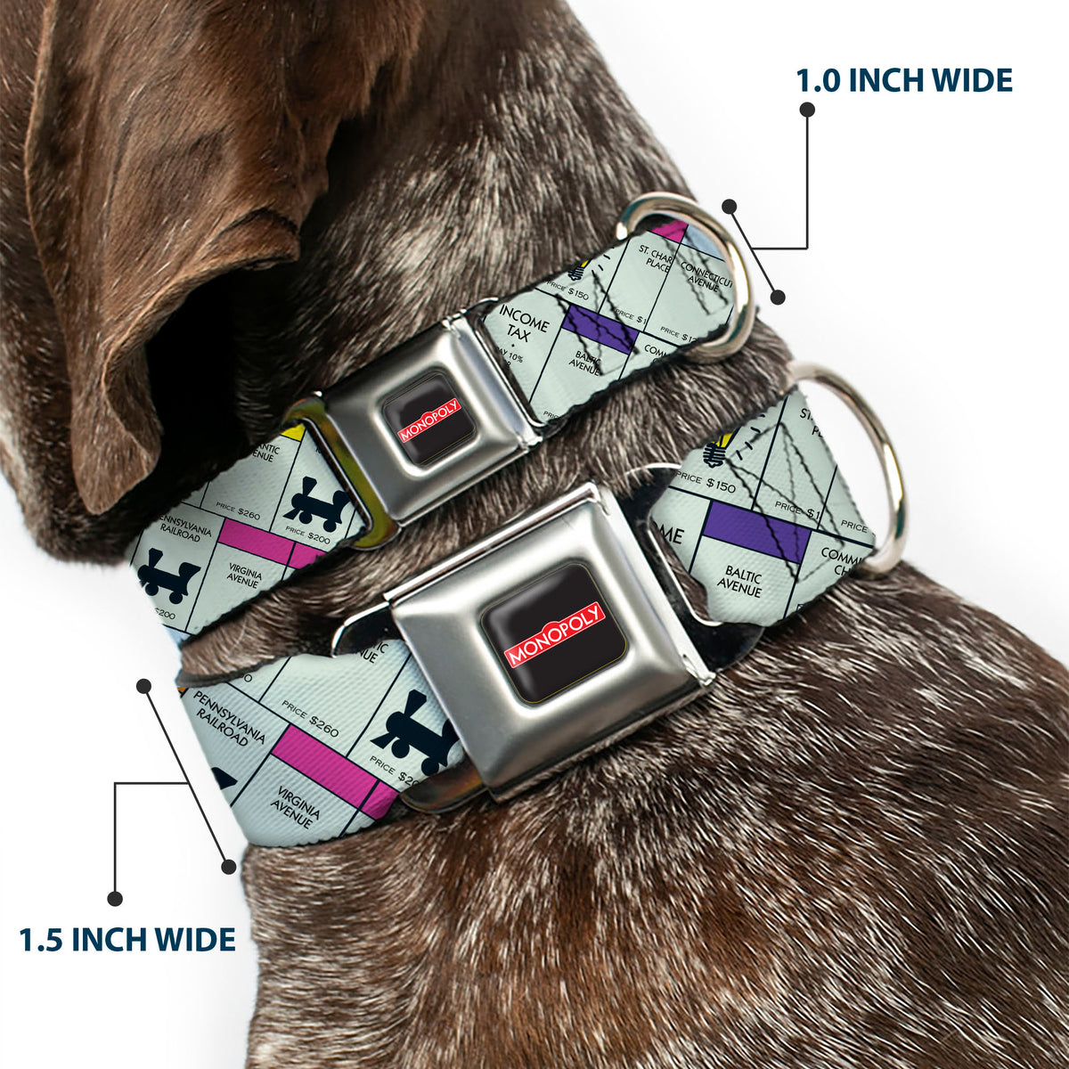 MONOPOLY Logo Full Color Black/Red/White Seatbelt Buckle Collar - Monopoly Game Board Spaces Collage Dog Collars Seatbelt Buckle Monopoly