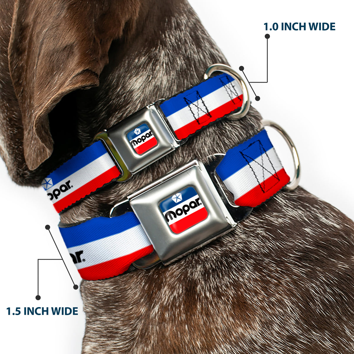 MOPAR Chrysler Logo Full Color White/Blue/Red/Black Seatbelt Buckle Collar - MOPAR Logo/Stripe Blue/White/Red Dog Collars Seatbelt Buckle Mopar