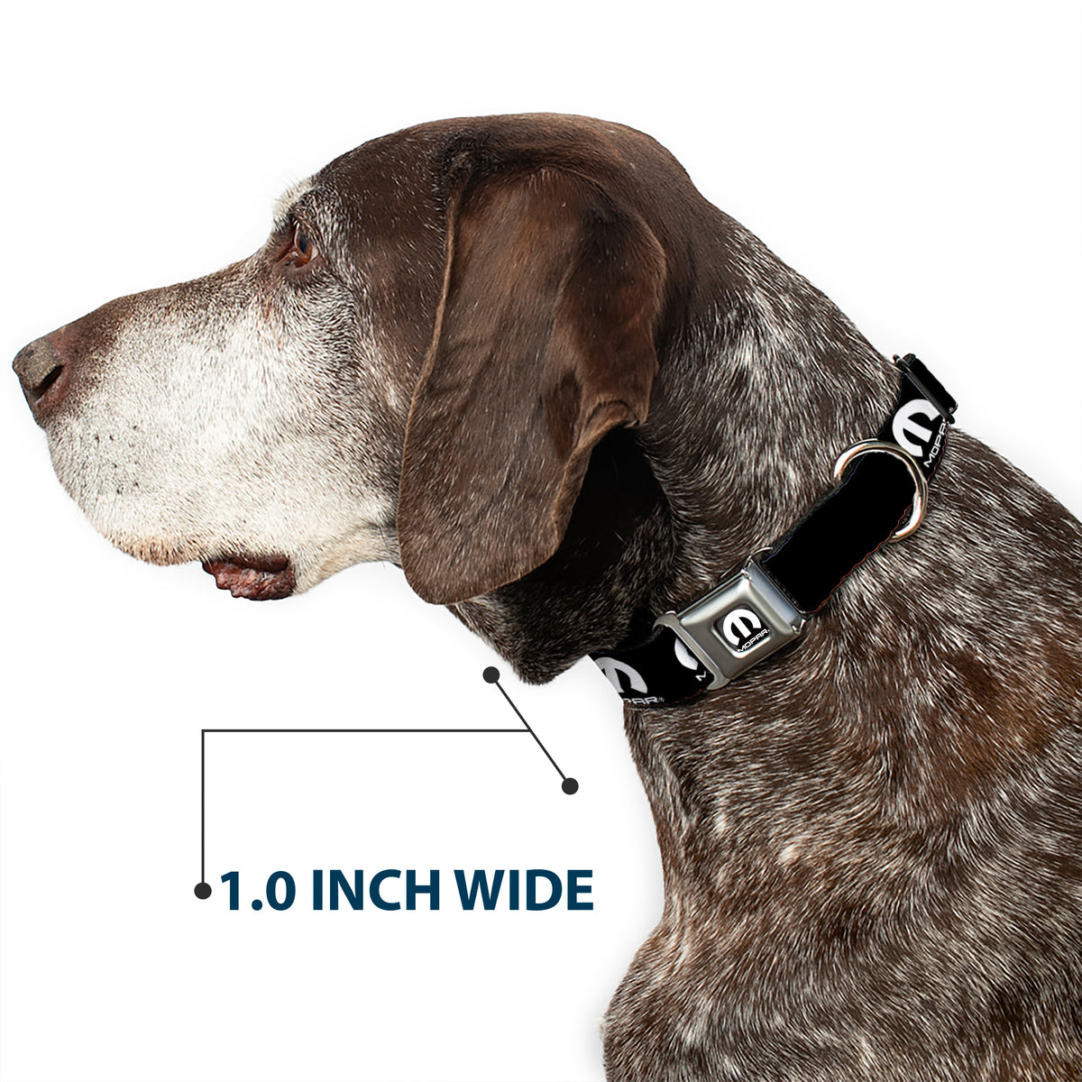 MOPAR Logo Full Color Black White Seatbelt Buckle Collar - MOPAR Logo Repeat Black/White Dog Collars Seatbelt Buckle Mopar