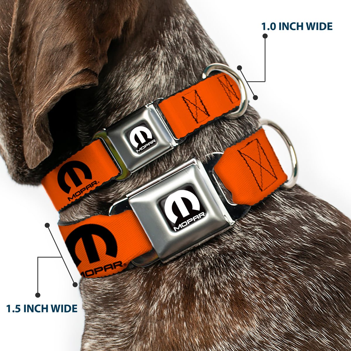 MOPAR Logo Full Color Black/White Seatbelt Buckle Collar - MOPAR Logo Repeat Orange/Black Dog Collars Seatbelt Buckle Mopar