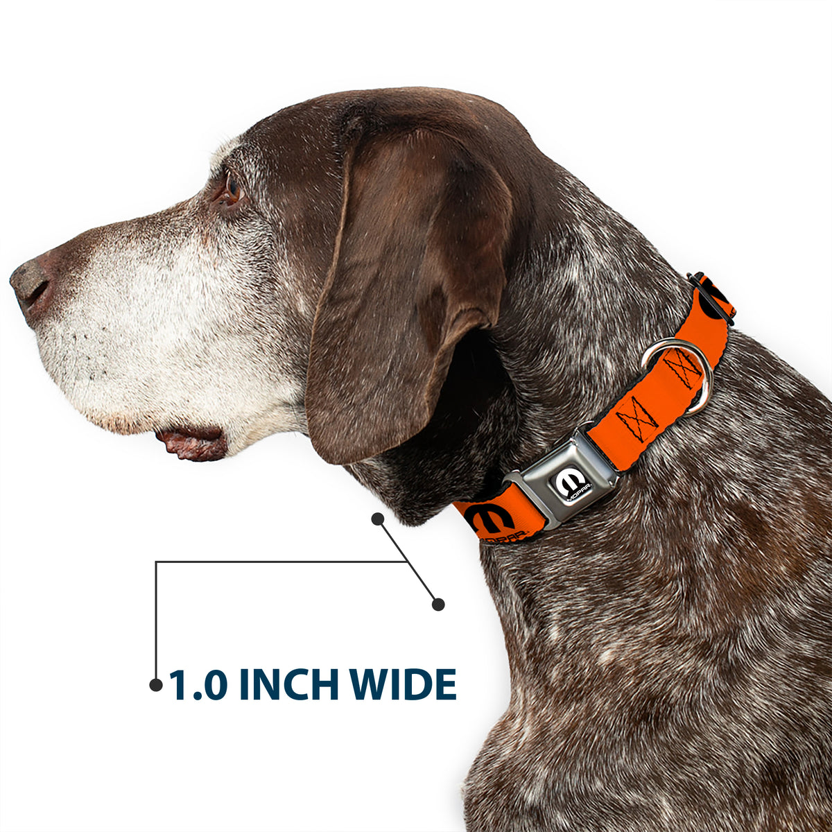 MOPAR Logo Full Color Black/White Seatbelt Buckle Collar - MOPAR Logo Repeat Orange/Black Dog Collars Seatbelt Buckle Mopar