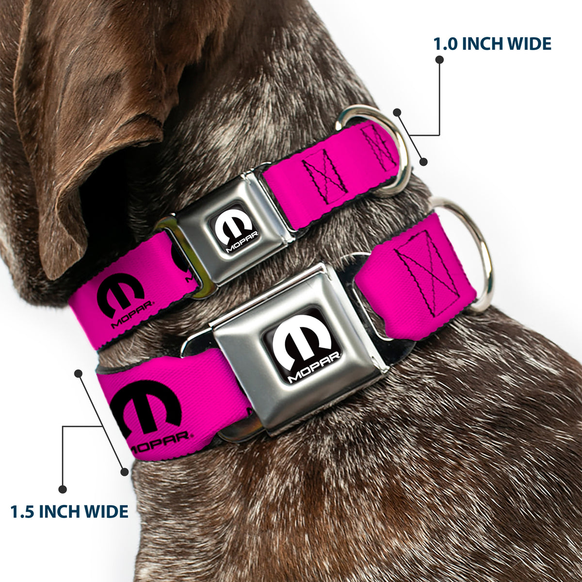 MOPAR Logo Full Color Black/White Seatbelt Buckle Collar - MOPAR Logo Repeat Hot Pink/Black Dog Collars Seatbelt Buckle Mopar