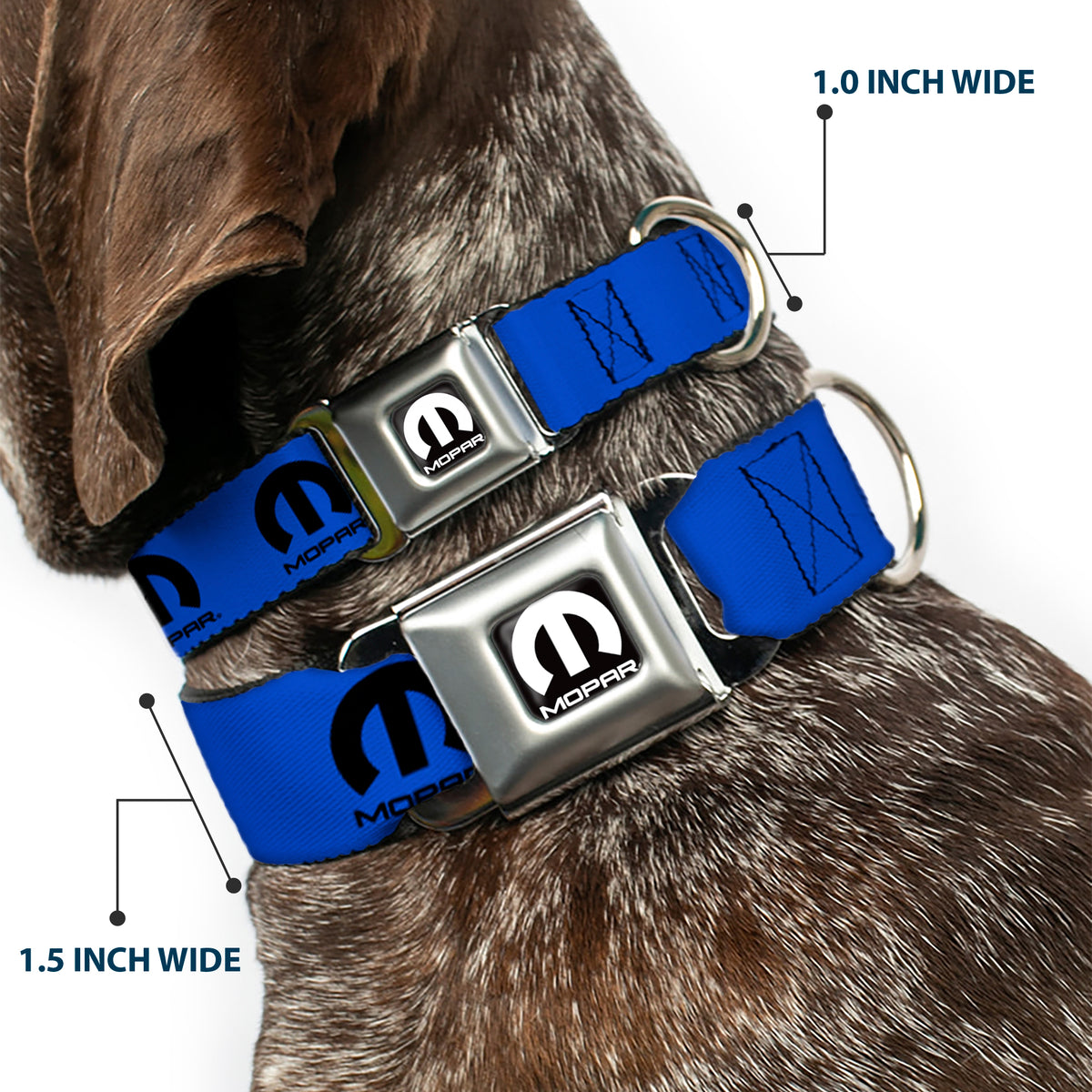 MOPAR Logo Full Color Black/White Seatbelt Buckle Collar - MOPAR Logo Repeat Blue/Black Dog Collars Seatbelt Buckle Mopar