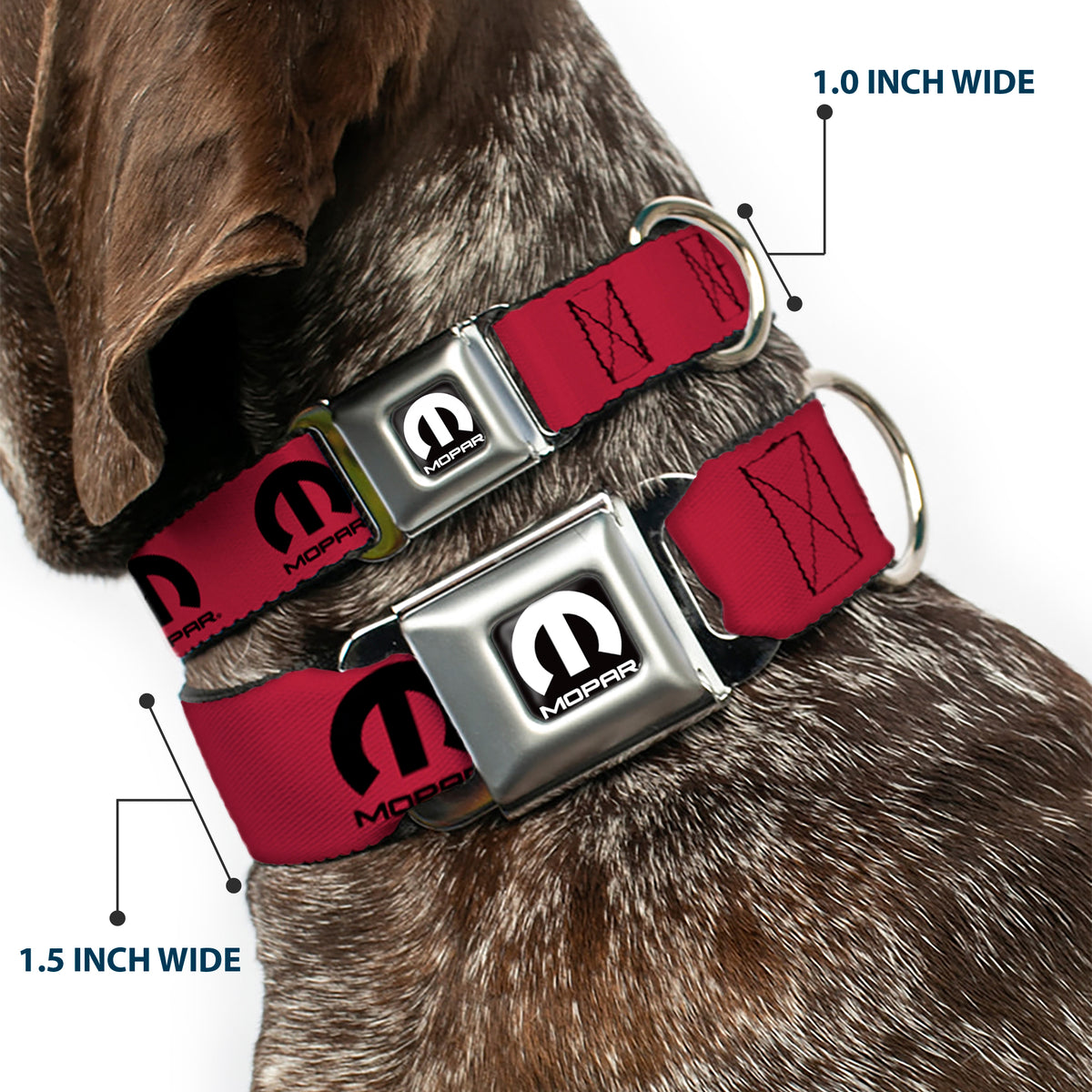 MOPAR Logo Full Color Black/White Seatbelt Buckle Collar - MOPAR Logo Repeat Fuchsia/Black Dog Collars Seatbelt Buckle Mopar
