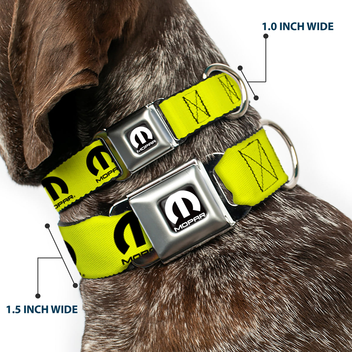 MOPAR Logo Full Color Black/White Seatbelt Buckle Collar - MOPAR Logo Repeat Yelow/Black Dog Collars Seatbelt Buckle Mopar