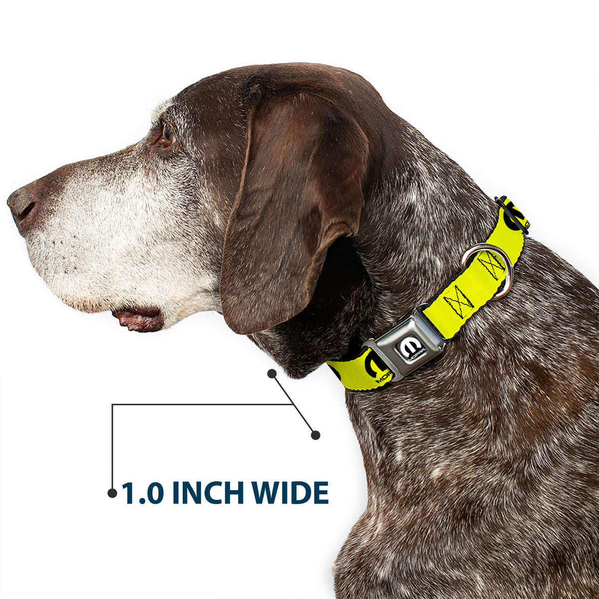 MOPAR Logo Full Color Black/White Seatbelt Buckle Collar - MOPAR Logo Repeat Yelow/Black Dog Collars Seatbelt Buckle Mopar
