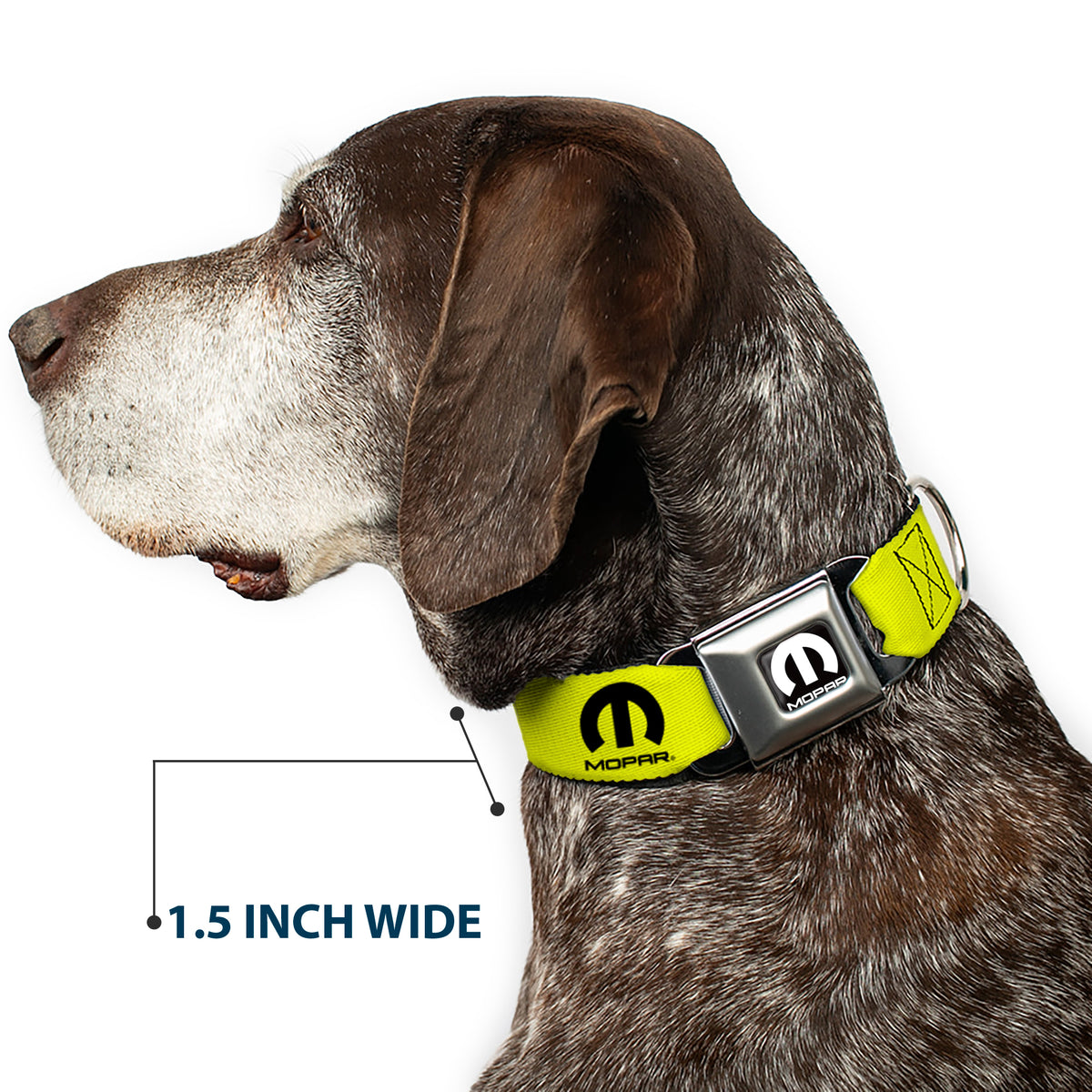 MOPAR Logo Full Color Black/White Seatbelt Buckle Collar - MOPAR Logo Repeat Yelow/Black Dog Collars Seatbelt Buckle Mopar