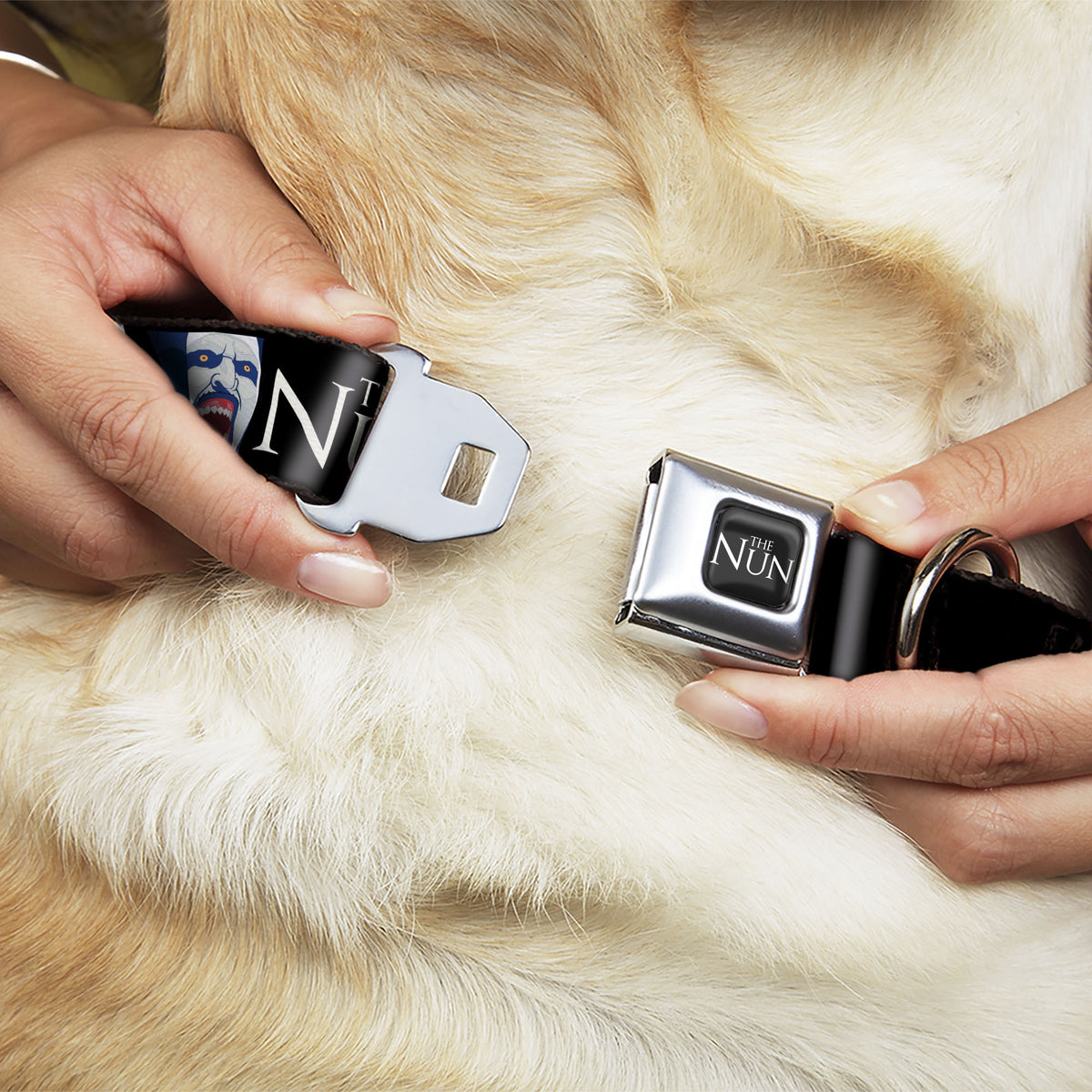 THE NUN Title Logo Full Color Black/White Seatbelt Buckle Collar - THE NUN Sister Irene and Demon Nun Valak Icons with Title Logo Black/White Dog Collars Seatbelt Buckle The Nun