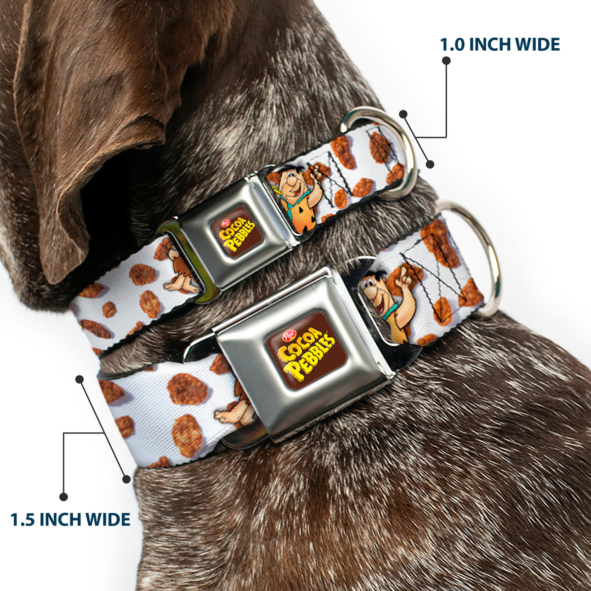 POST COCOA PEBBLES Logo Full Color Brown/Yellows Seatbelt Buckle Collar - Cocoa Pebbles Fred Flintstone and Barney Rubble Hugging Pose and Cereal Pebbles Scattered White/Browns Dog Collars Seatbelt Buckle The Flintstones