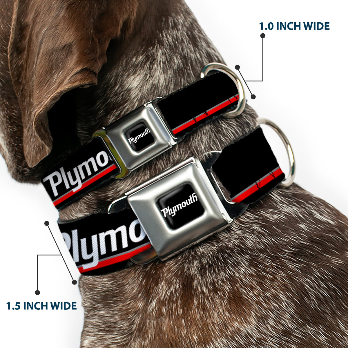 PLYMOUTH Text Logo Full Color Black/White Seatbelt Buckle Collar - PLYMOUTH Text/Stripe Black/White/Gray/Red Dog Collars Seatbelt Buckle Dodge