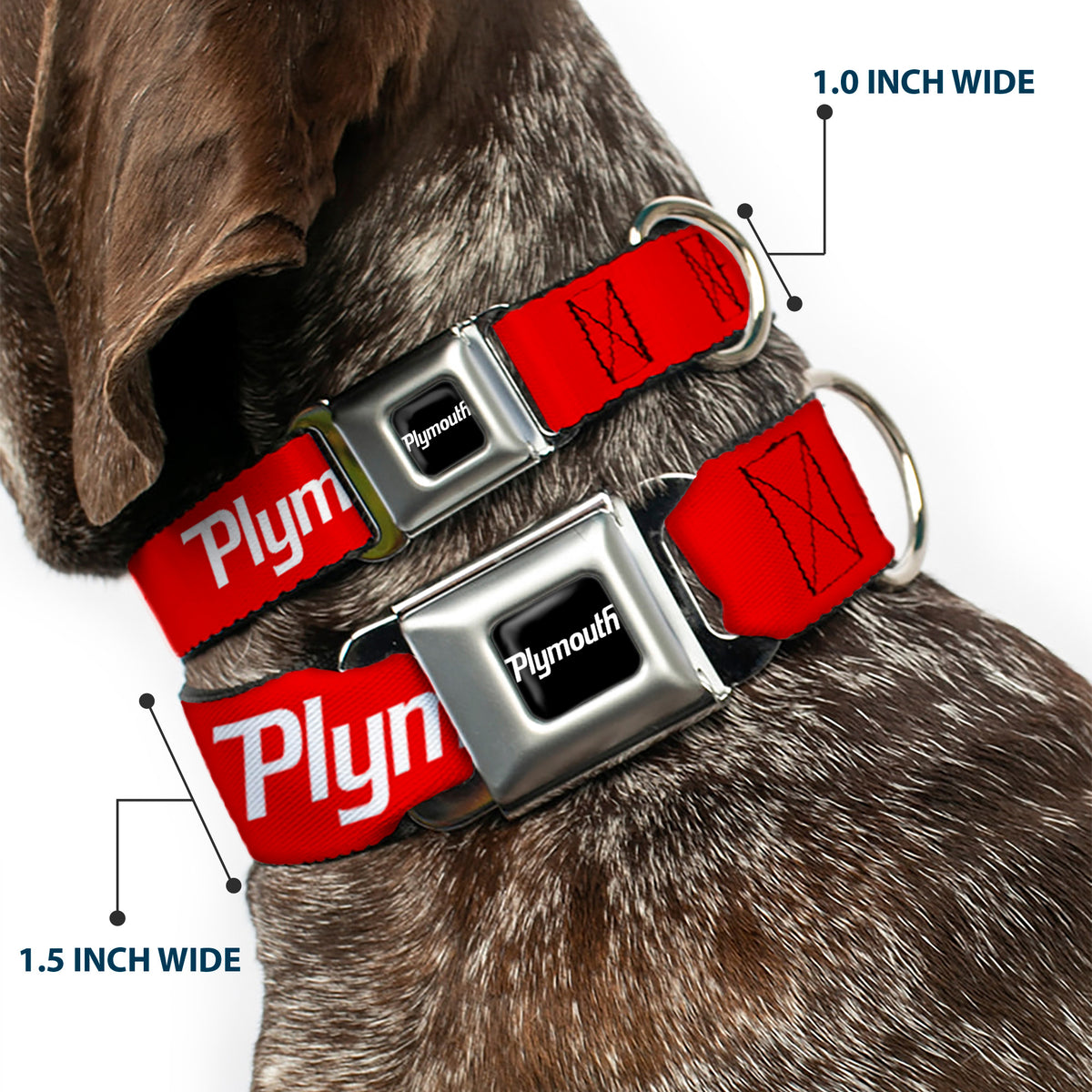 PLYMOUTH Text Logo Full Color Black/White Seatbelt Buckle Collar - PLYMOUTH Text Logo Red/White Dog Collars Seatbelt Buckle Dodge