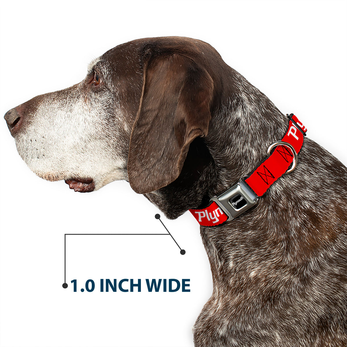 PLYMOUTH Text Logo Full Color Black/White Seatbelt Buckle Collar - PLYMOUTH Text Logo Red/White Dog Collars Seatbelt Buckle Dodge