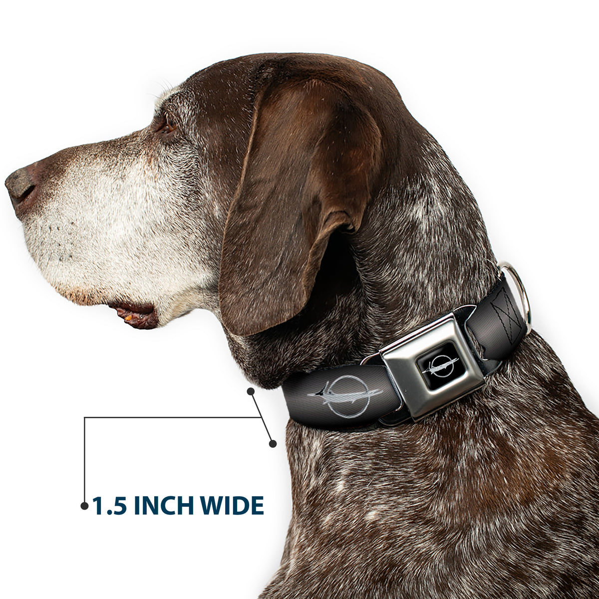 Barracuda Emblem Full Color Black/Silver Seatbelt Buckle Collar - Barracuda Emblem Repeat Gray Fade/Silver Dog Collars Seatbelt Buckle Dodge