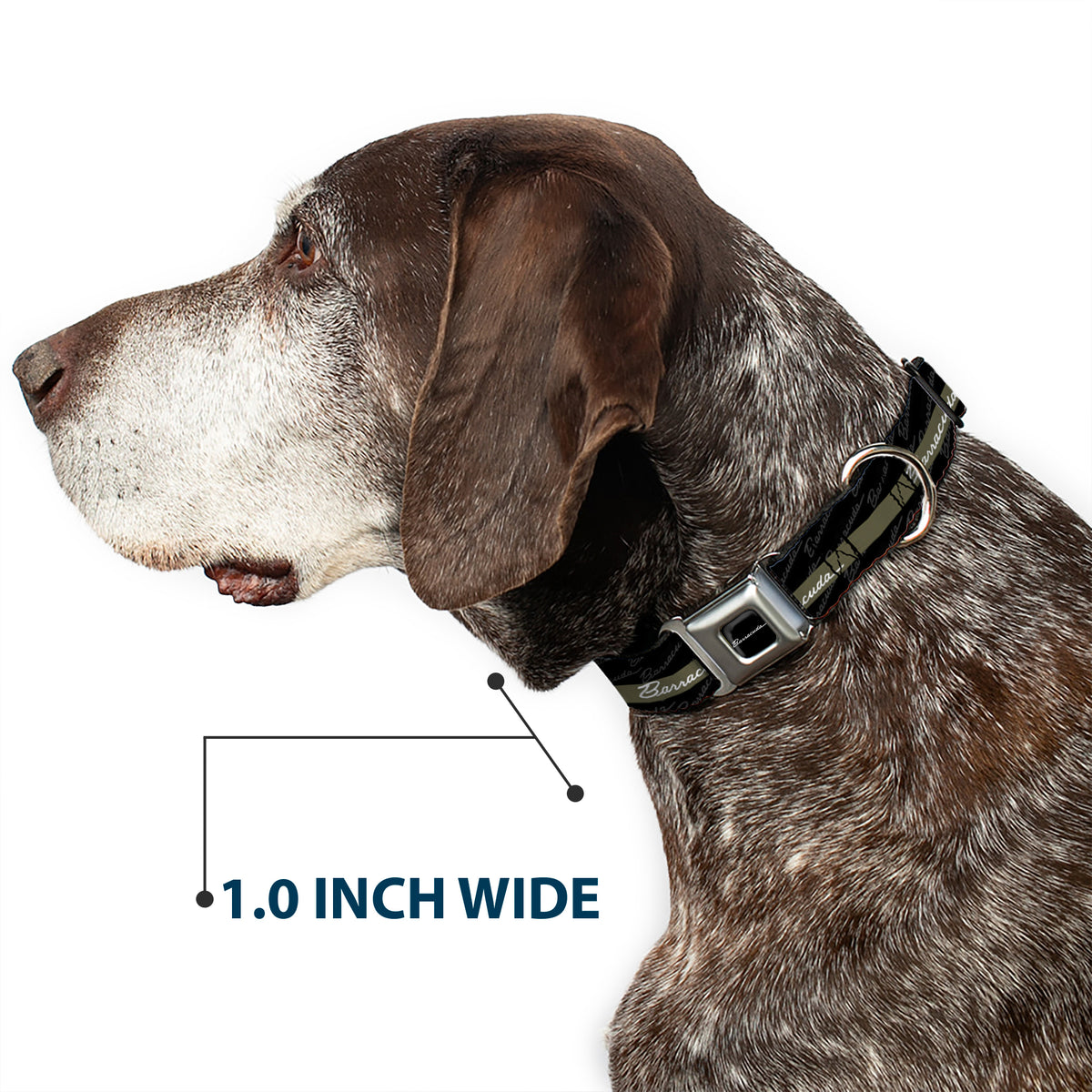 BARRACUDA Script Logo Full Color Black/White Seatbelt Buckle Collar - BARRACUDA Script Stripe/Monogram Black/Gray/Olive/Silver Dog Collars Seatbelt Buckle Dodge