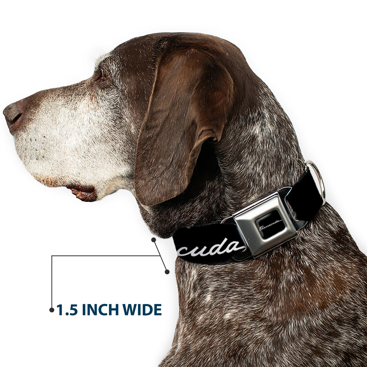 BARRACUDA Script Logo Full Color Black/White Seatbelt Buckle Collar - BARRACUDA Script Logo Black/Silver Dog Collars Seatbelt Buckle Dodge