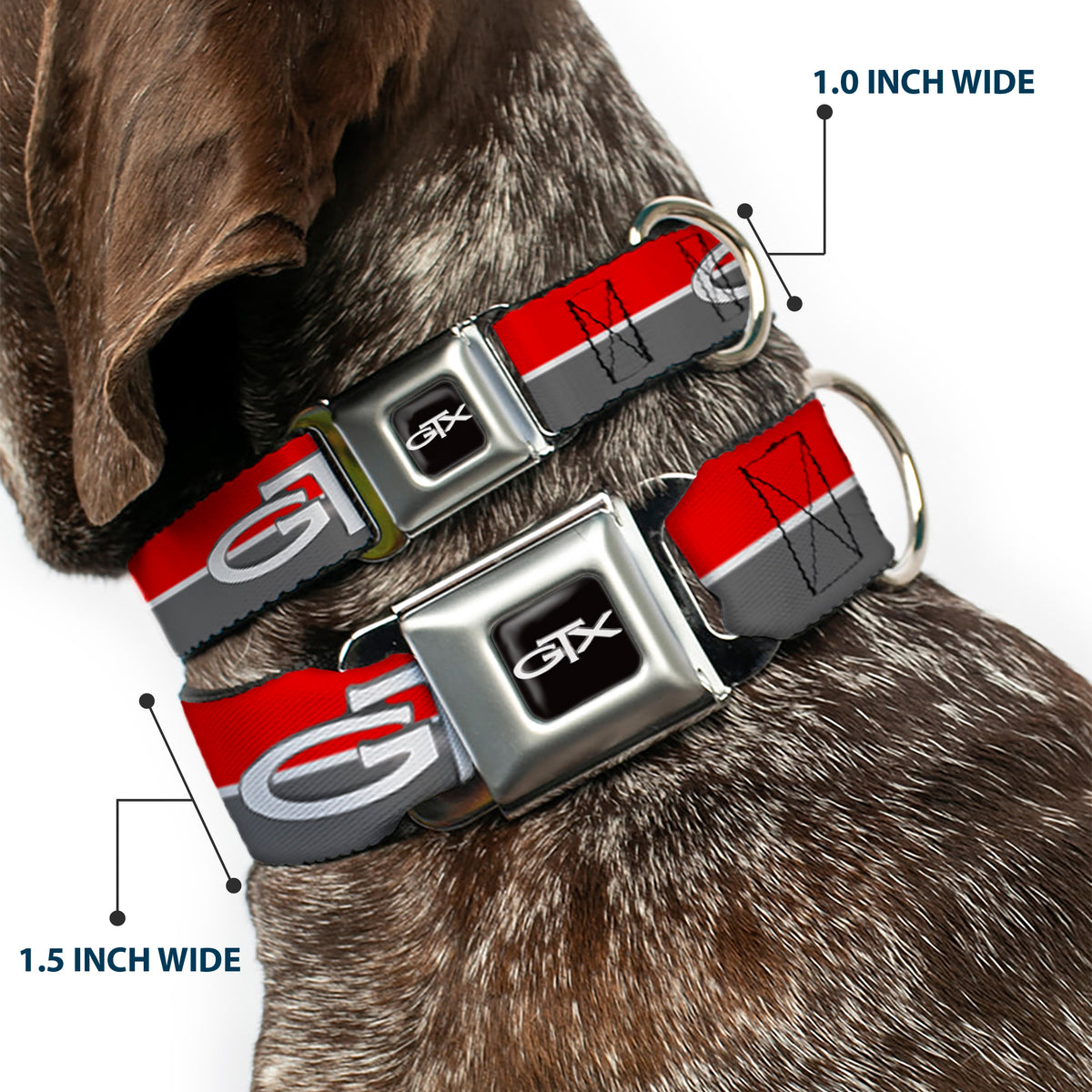 Plymouth GTX Emblem Full Color Black/Silver Fade/White Seatbelt Buckle Collar - Plymouth GTX Emblem/Stripe Red/White/Grays Dog Collars Seatbelt Buckle Dodge