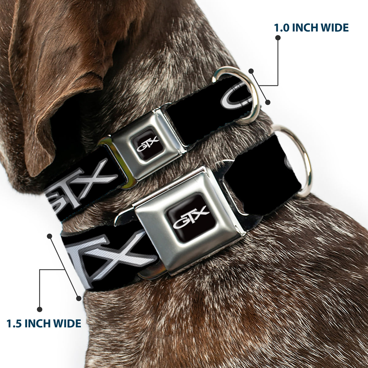 Plymouth GTX Emblem Full Color Black/Silver Fade/White Seatbelt Buckle Collar - Plymouth GTX Emblem Black/Silver Fade/White Dog Collars Seatbelt Buckle Dodge