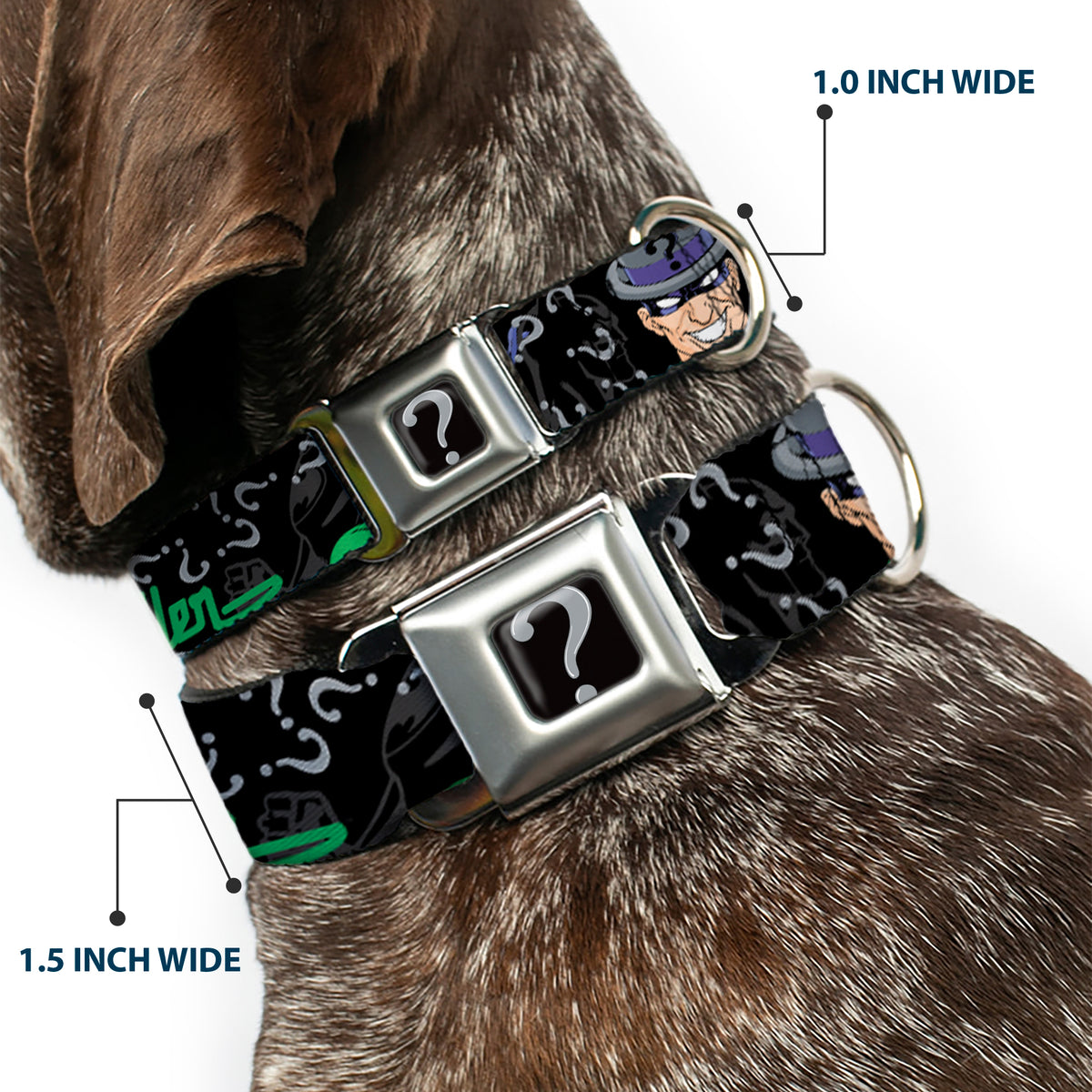 Riddler "?" Black/Silver Seatbelt Buckle Collar - The Riddler w/Batman Silhouette Dog Collars Seatbelt Buckle DC Comics