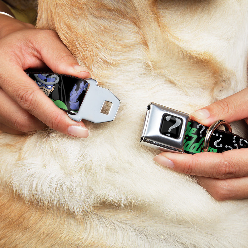 Riddler "?" Black/Silver Seatbelt Buckle Collar - The Riddler w/Batman Silhouette Dog Collars Seatbelt Buckle DC Comics