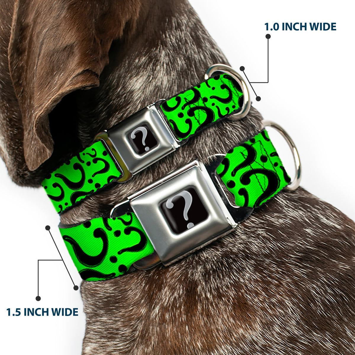 Riddler "?" Black Silver Seatbelt Buckle Collar - Question Mark Scattered Lime Green/Black Dog Collars Seatbelt Buckle DC Comics