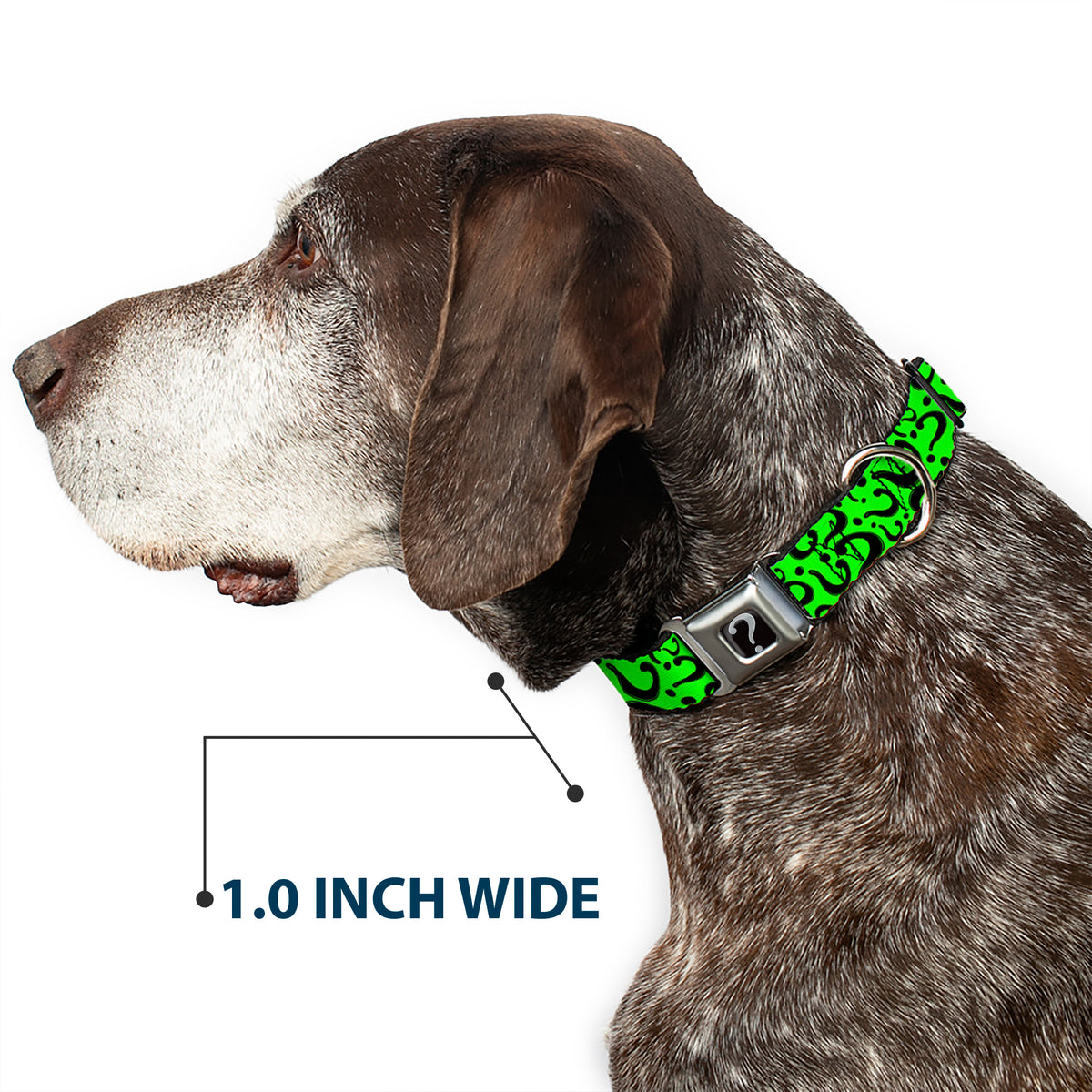 Riddler "?" Black Silver Seatbelt Buckle Collar - Question Mark Scattered Lime Green/Black Dog Collars Seatbelt Buckle DC Comics