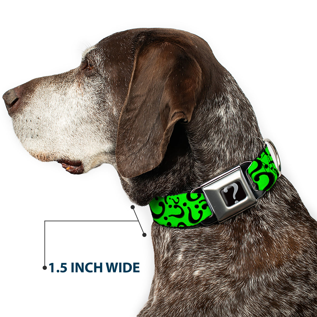 Riddler "?" Black Silver Seatbelt Buckle Collar - Question Mark Scattered Lime Green/Black Dog Collars Seatbelt Buckle DC Comics