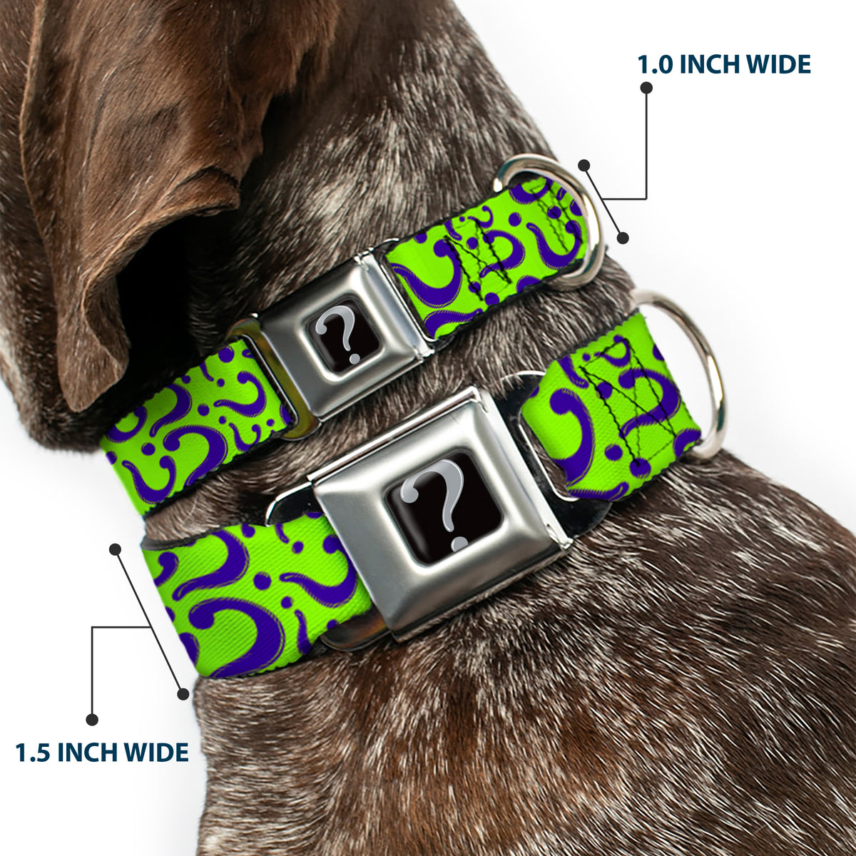 Riddler "?" Black Silver Seatbelt Buckle Collar - Question Mark Scattered Lime Green/Purple Dog Collars Seatbelt Buckle DC Comics