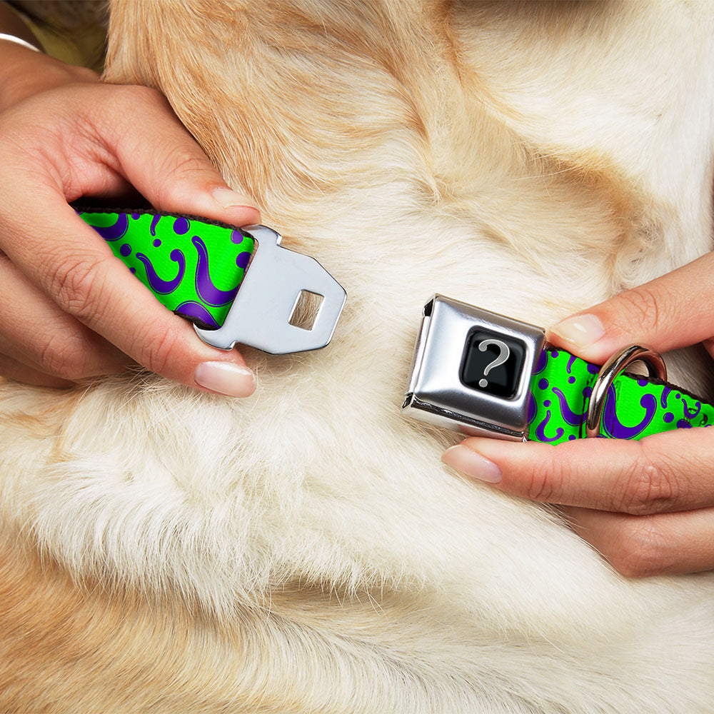 Riddler "?" Black Silver Seatbelt Buckle Collar - Question Mark Scattered Lime Green/Purple Dog Collars Seatbelt Buckle DC Comics