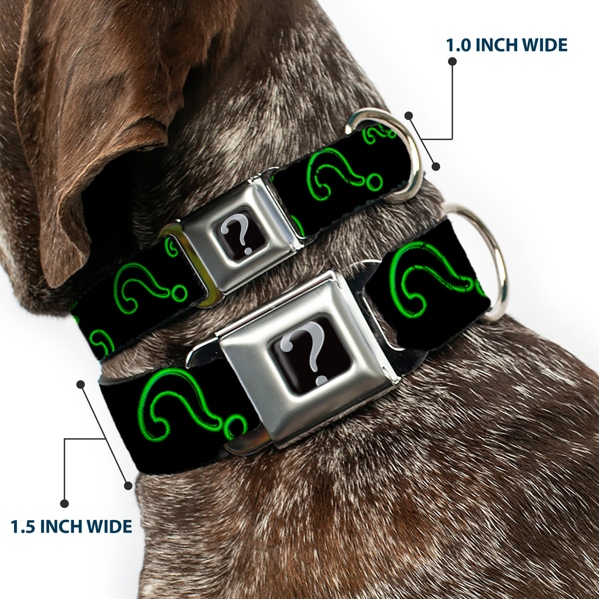 Riddler "?" Black/Silver Seatbelt Buckle Collar - Question Mark Scattere2 Black/Neon Green Dog Collars Seatbelt Buckle DC Comics