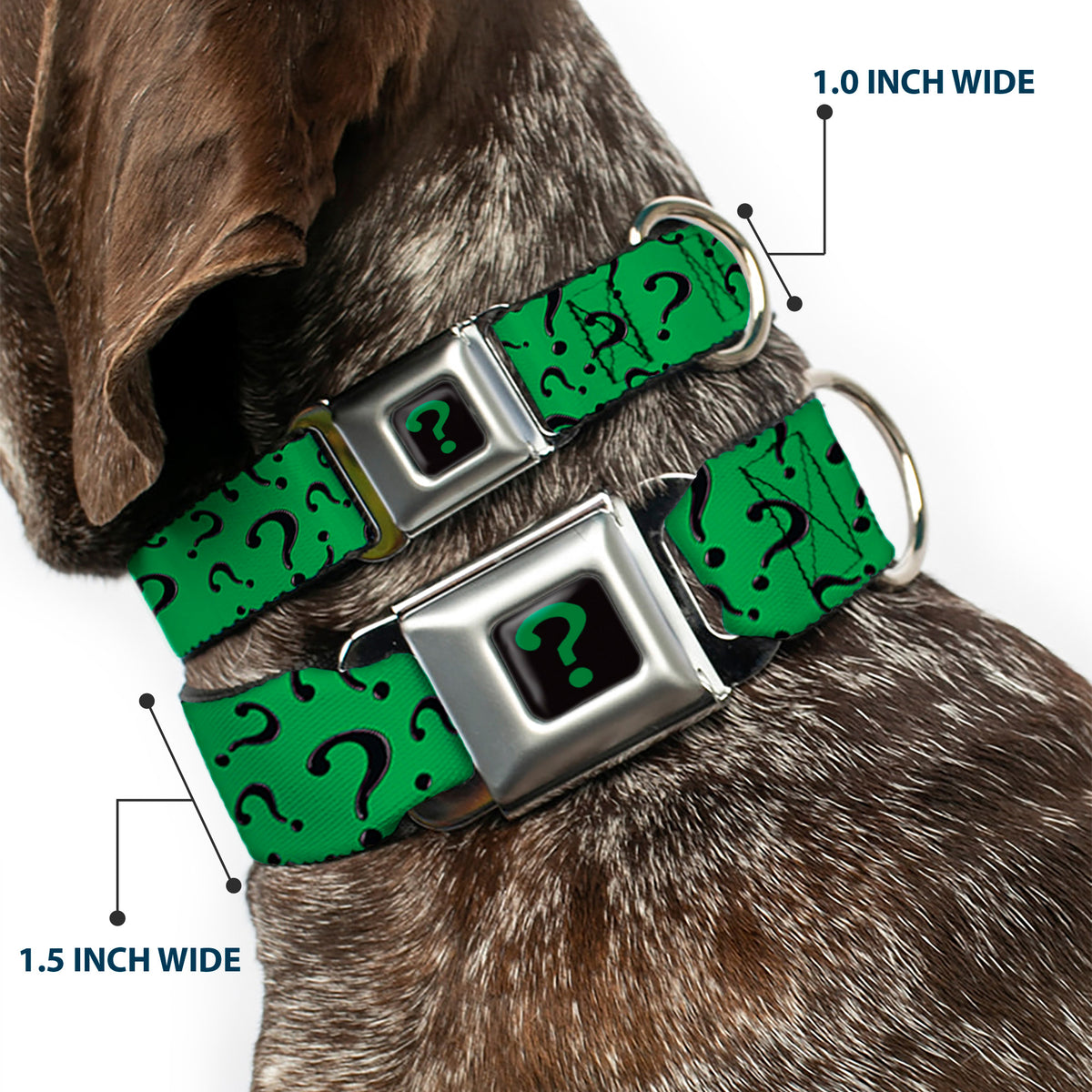 Riddler "?" Black/Green Seatbelt Buckle Collar - Question Mark Scattered3 Dark Green/Black Dog Collars Seatbelt Buckle DC Comics